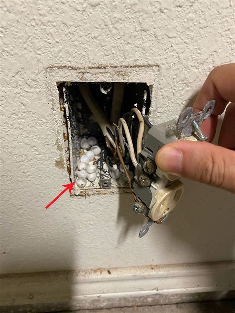 small eggs in junction box|white eggs behind electrical wall.